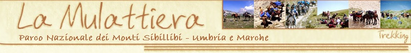 Trekking in Umbria